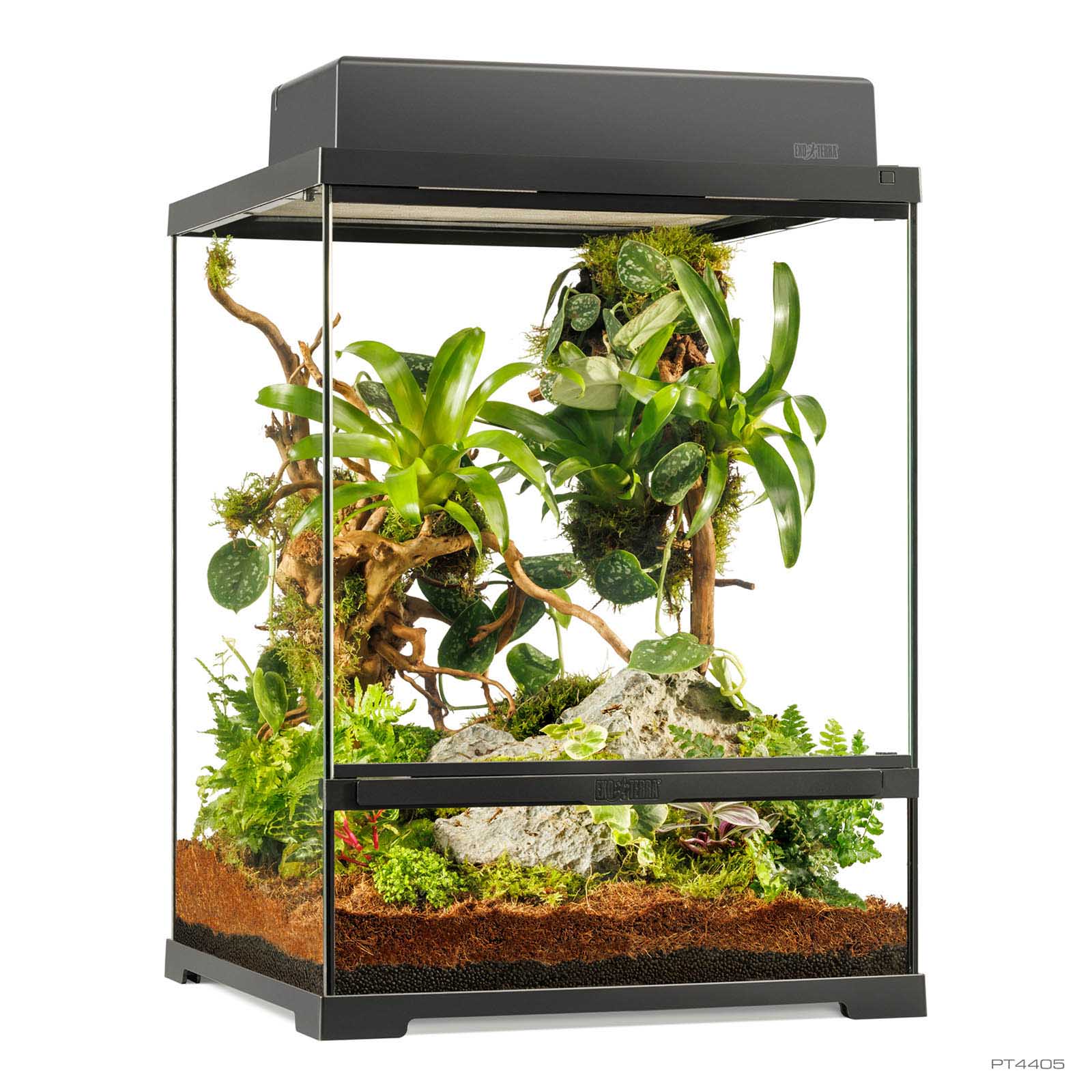 Pro Terrarium Small Tall