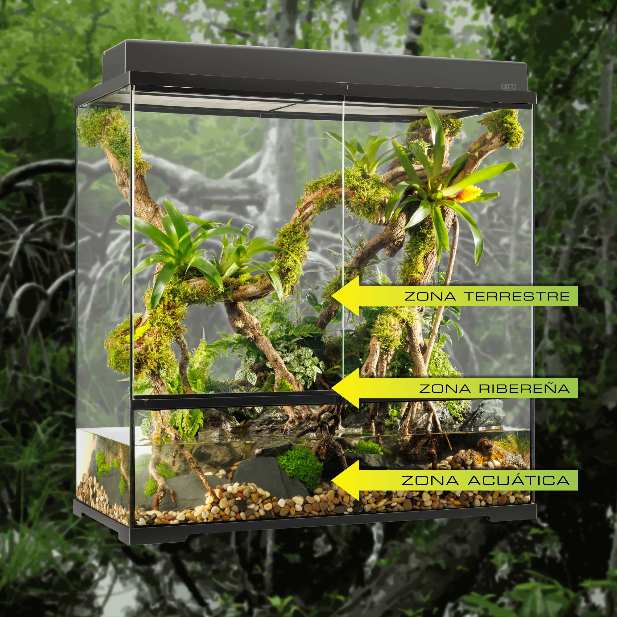 Paludarium: Combine the best of two worlds!