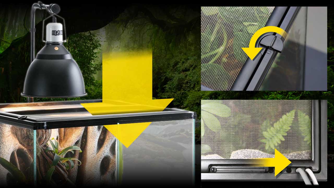 Paludarium_screen_top