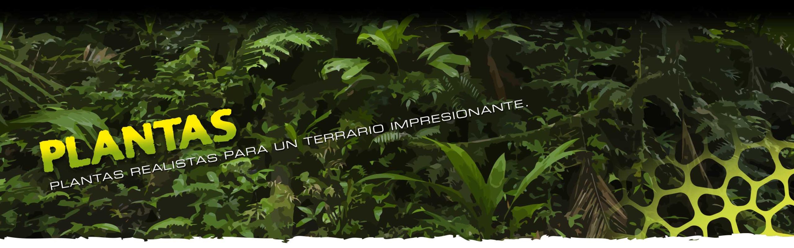 Plantas