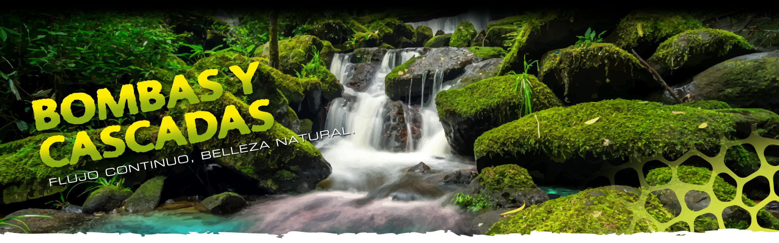 Pumps & Filters Header