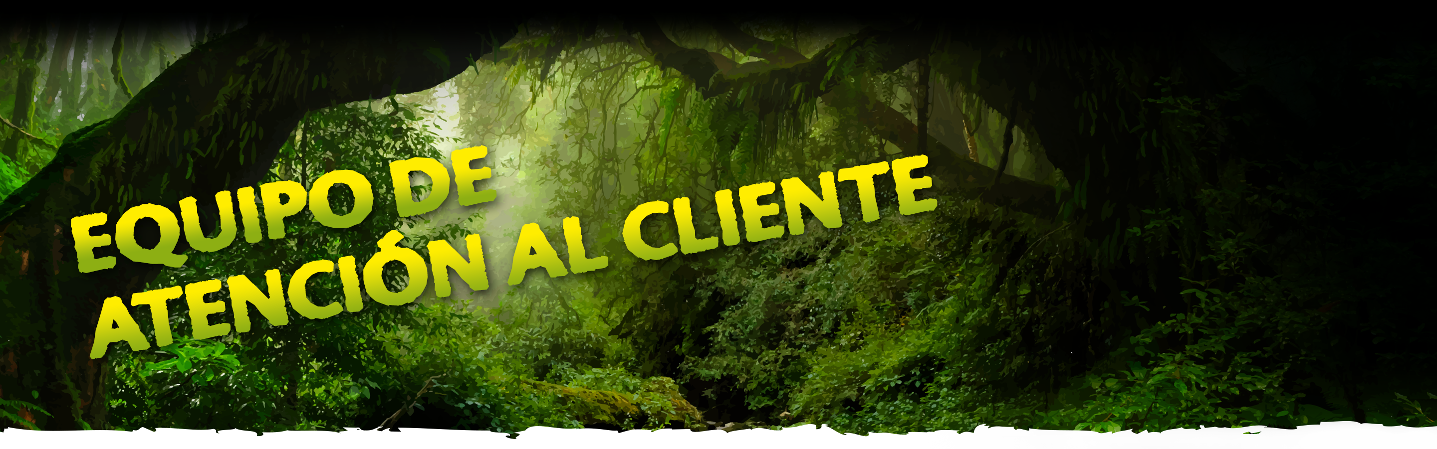 Support Header