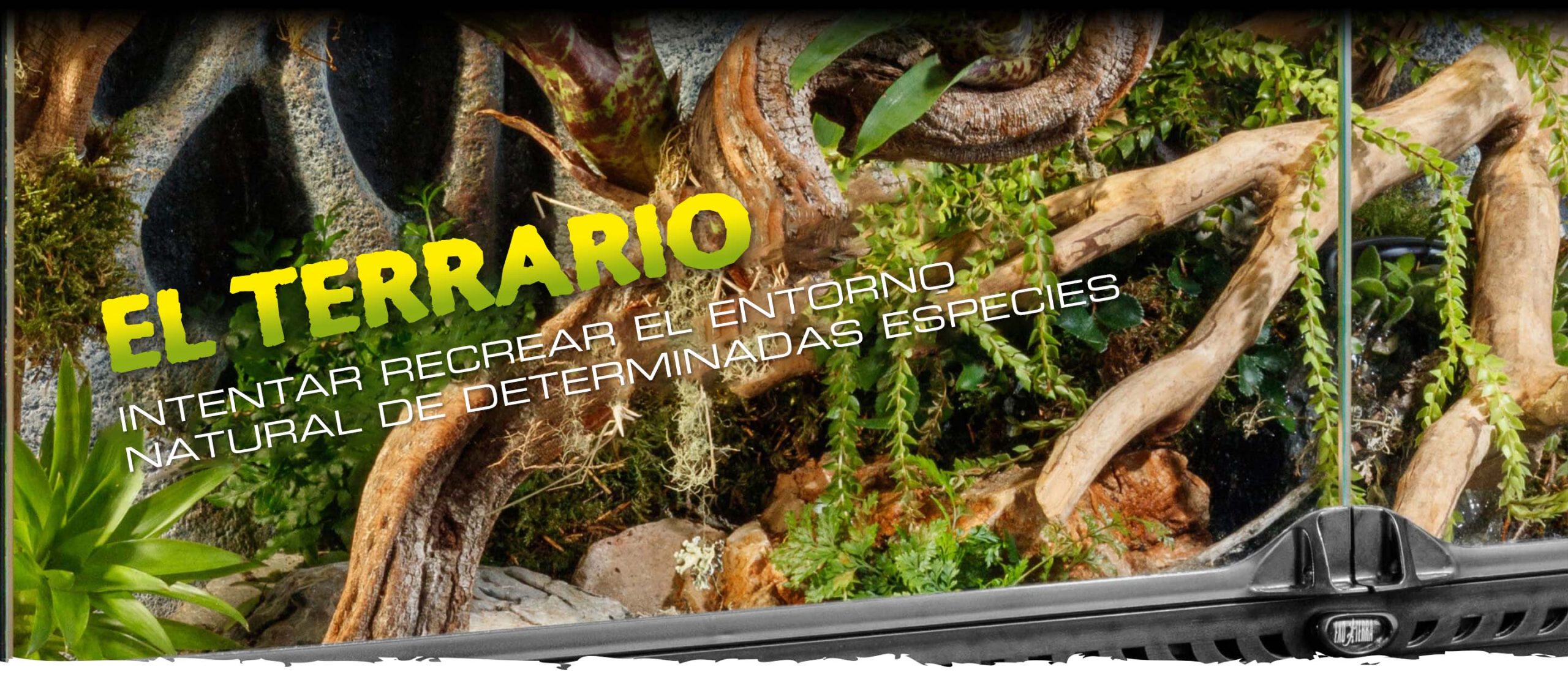 Support Header