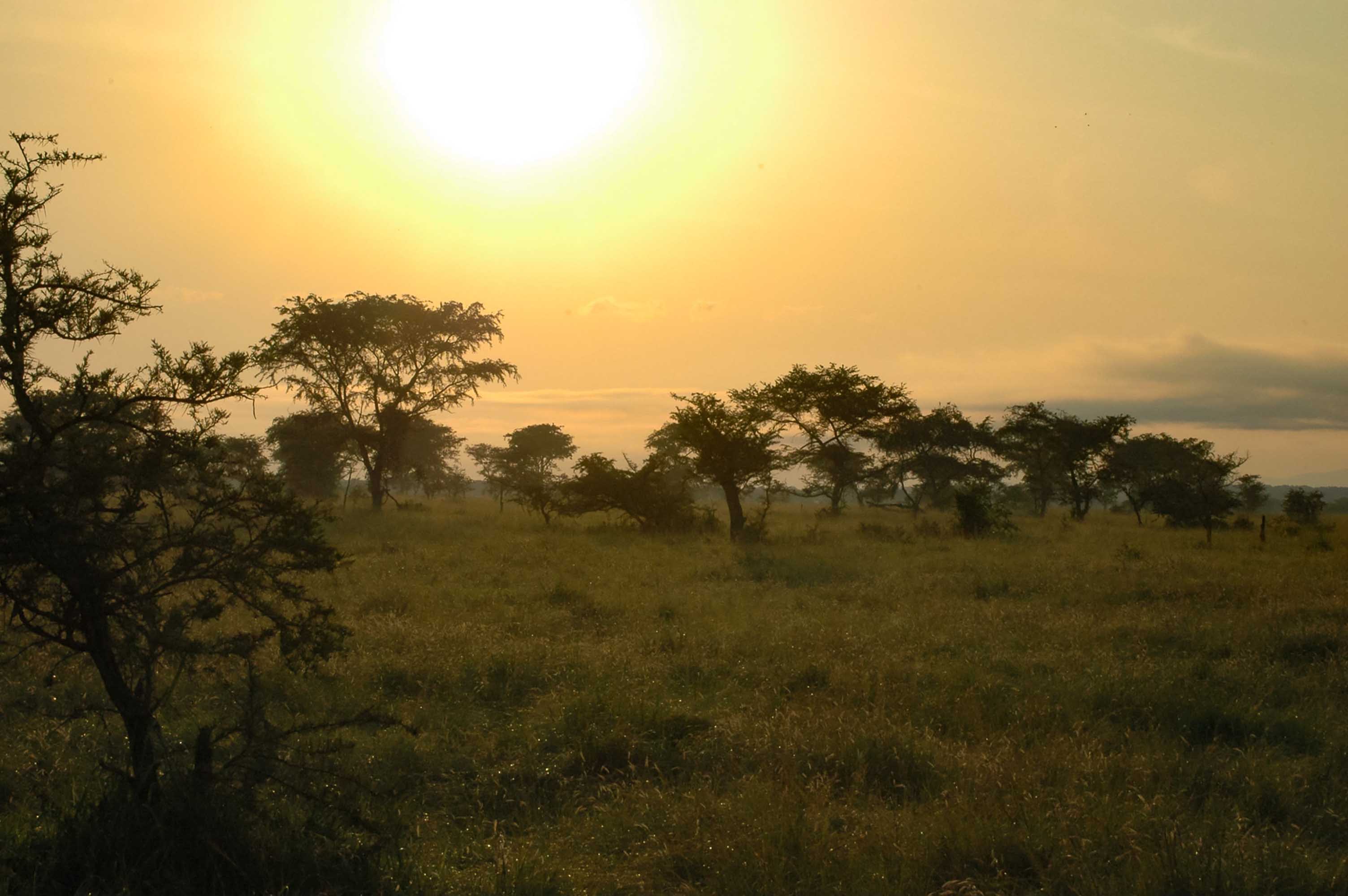 En La Frontera Con El Congo