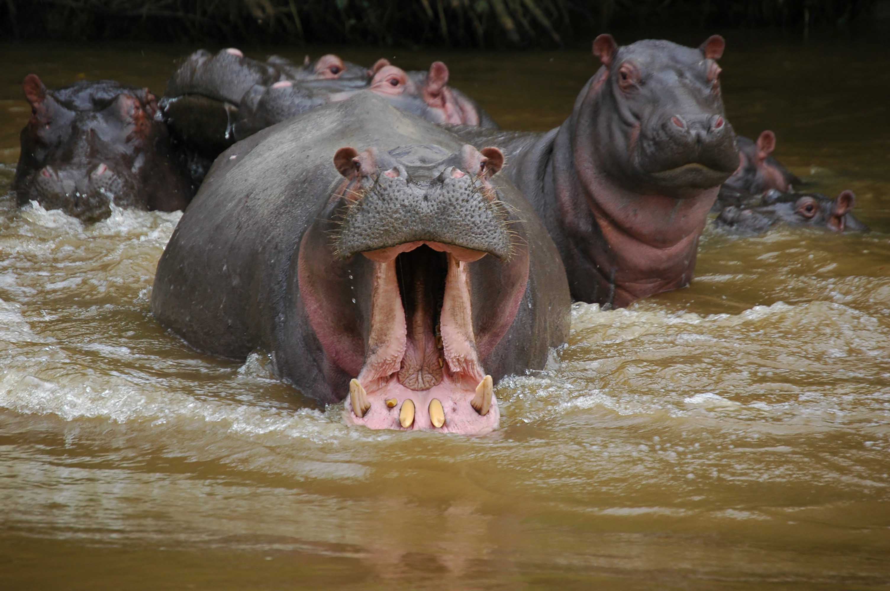 En La Frontera Con El Congo