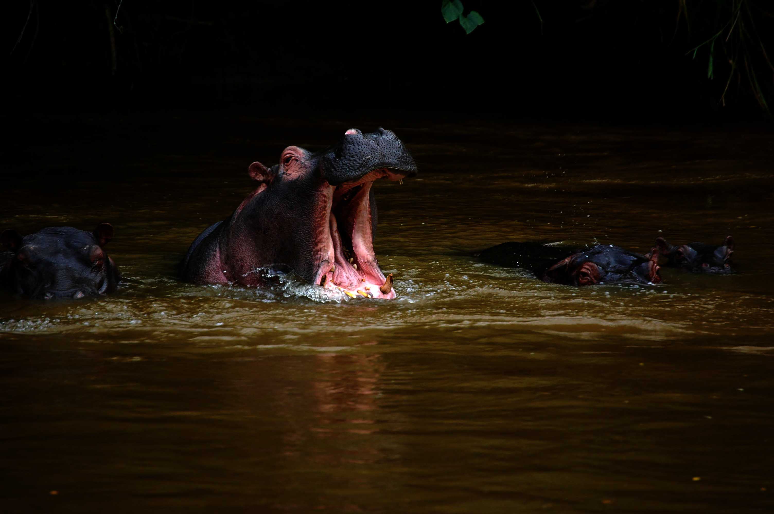 En La Frontera Con El Congo