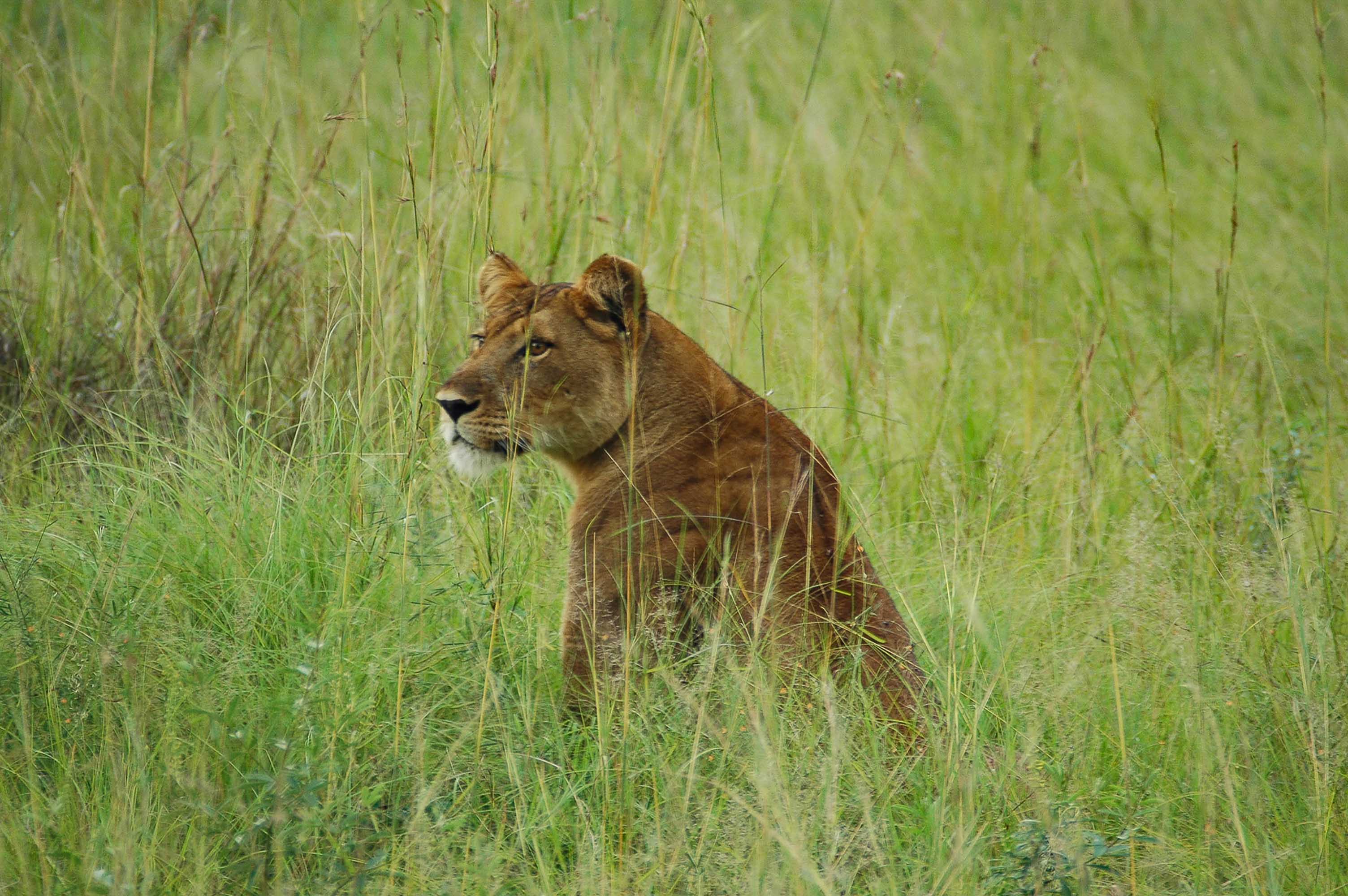 En La Frontera Con El Congo
